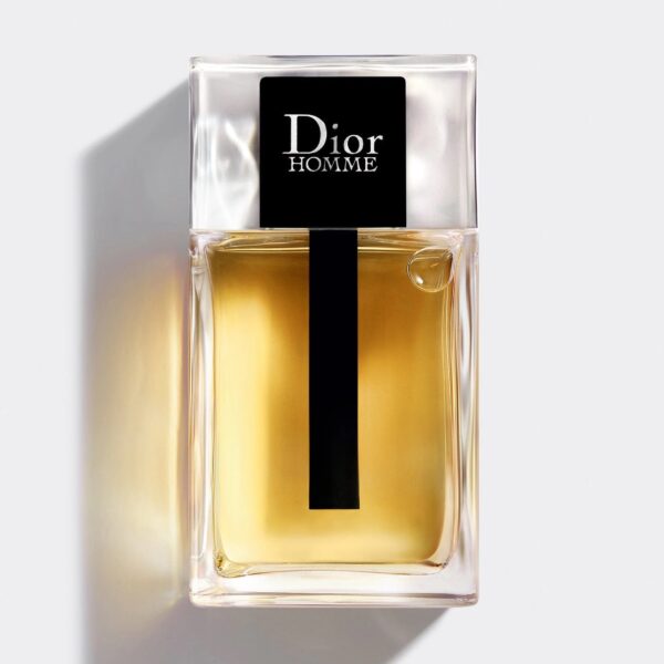 DIOR HOMME EDT 100 ML