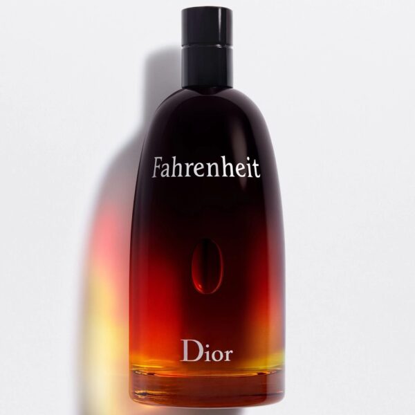 DIOR FAHRENHEIT EDT 100 ML